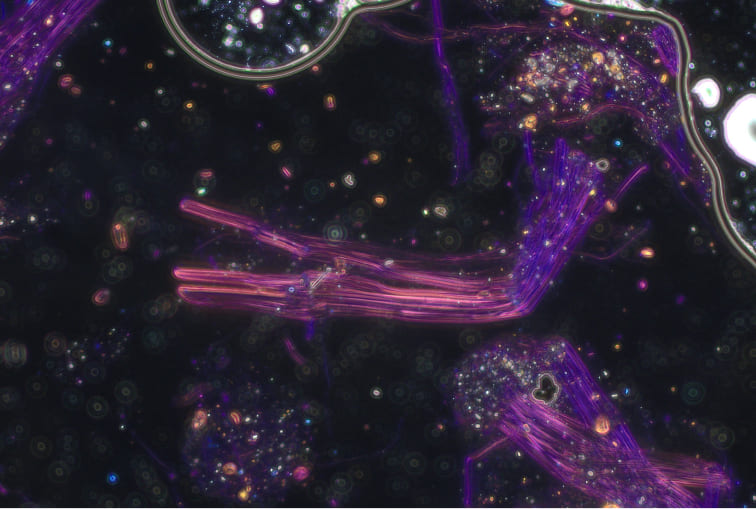 アスベスト（石綿）とは